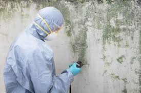 Best Mold Documentation for Insurance Claims  in Highland, UT